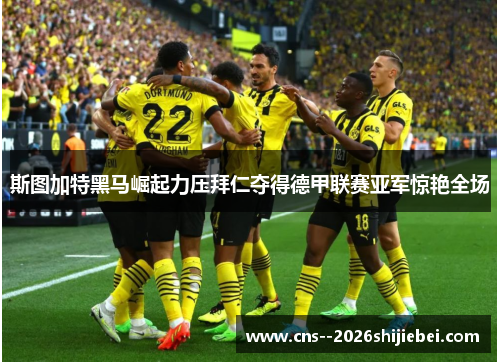 斯图加特黑马崛起力压拜仁夺得德甲联赛亚军惊艳全场